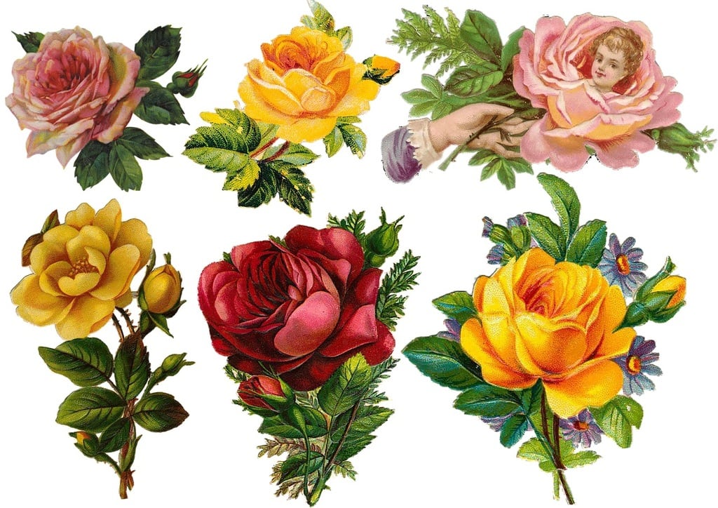 Comment débuter en scrapbooking ?